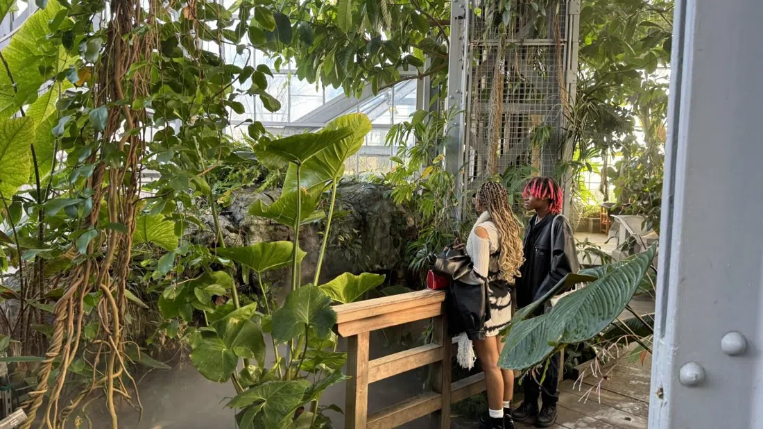 United States Botanic Garden, Washington
