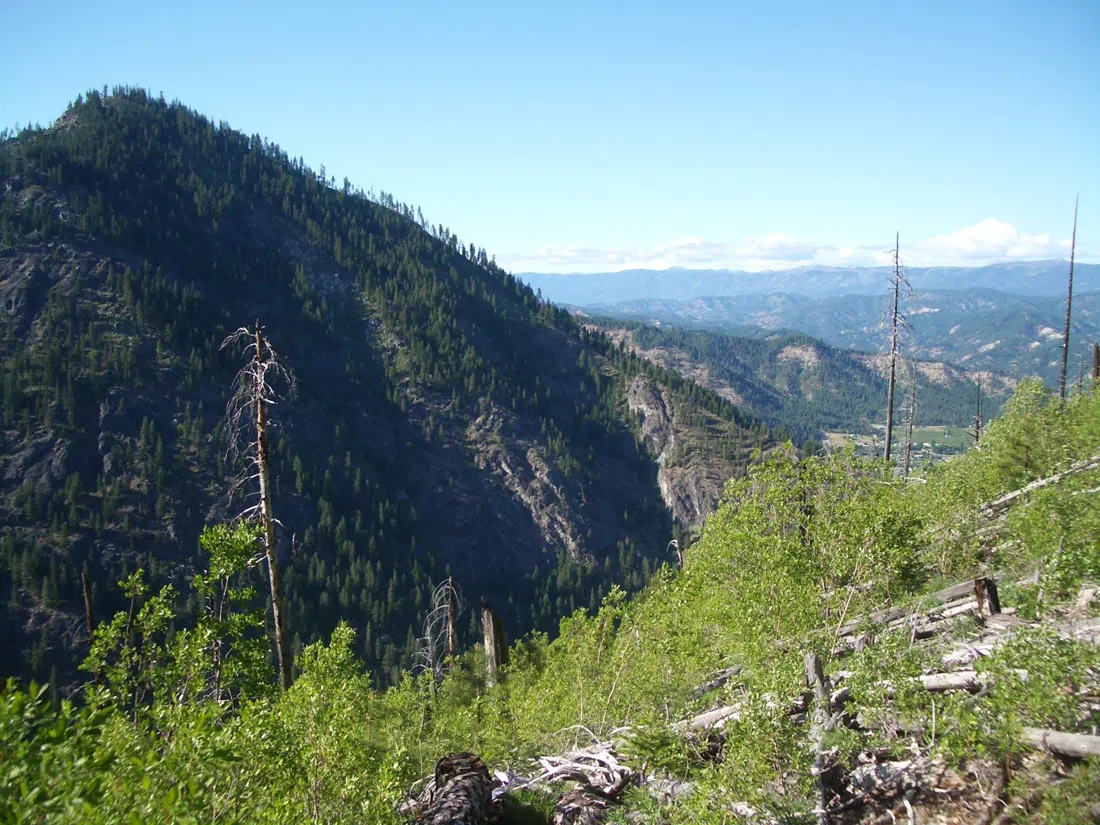 Sendero Icicle Ridge, Washington