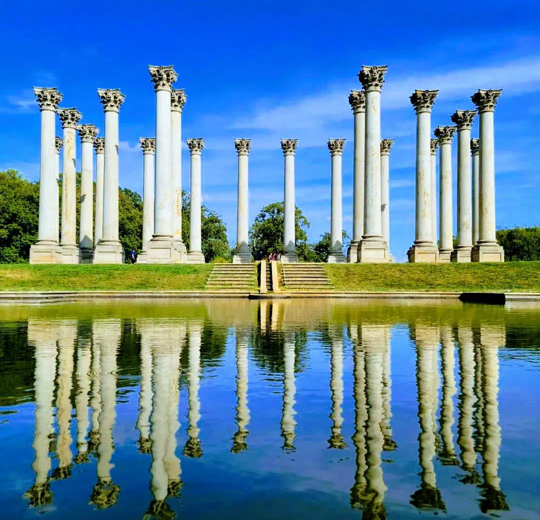 United States National Arboretum, Washington