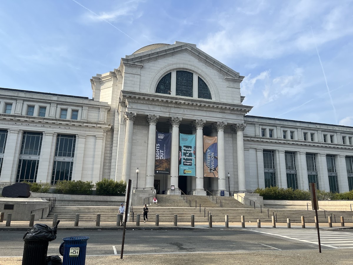 Smithsonian National Museum of Natural History — photo 2