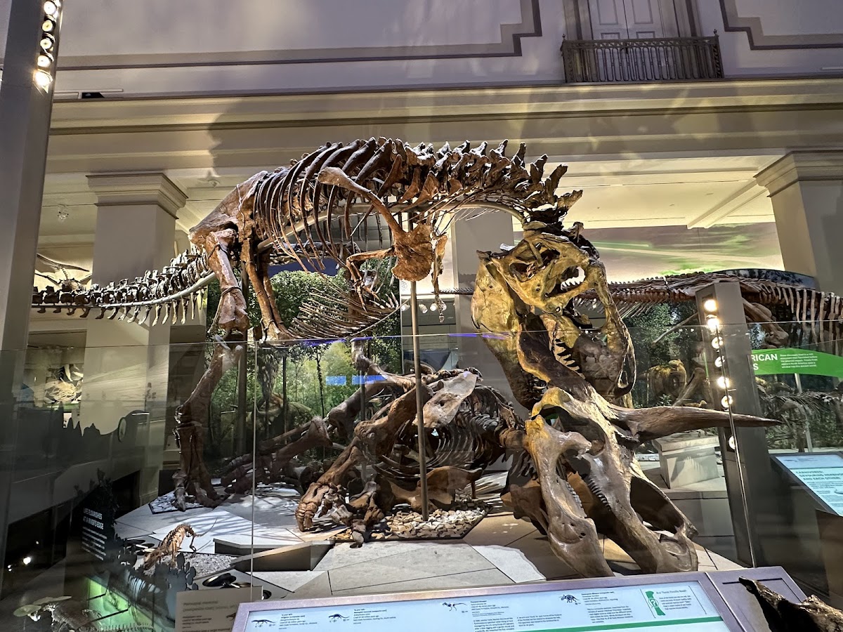 Smithsonian National Museum of Natural History — photo 3