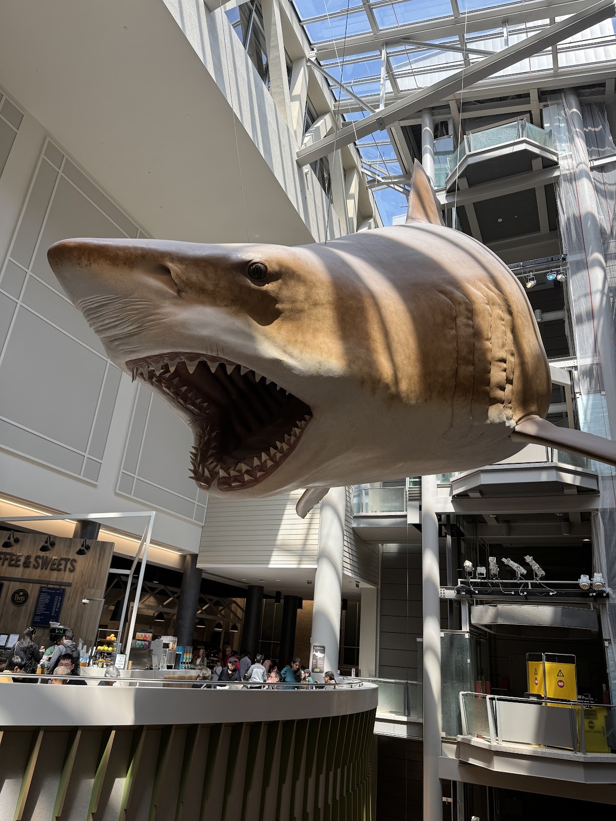 Smithsonian National Museum of Natural History — photo 6