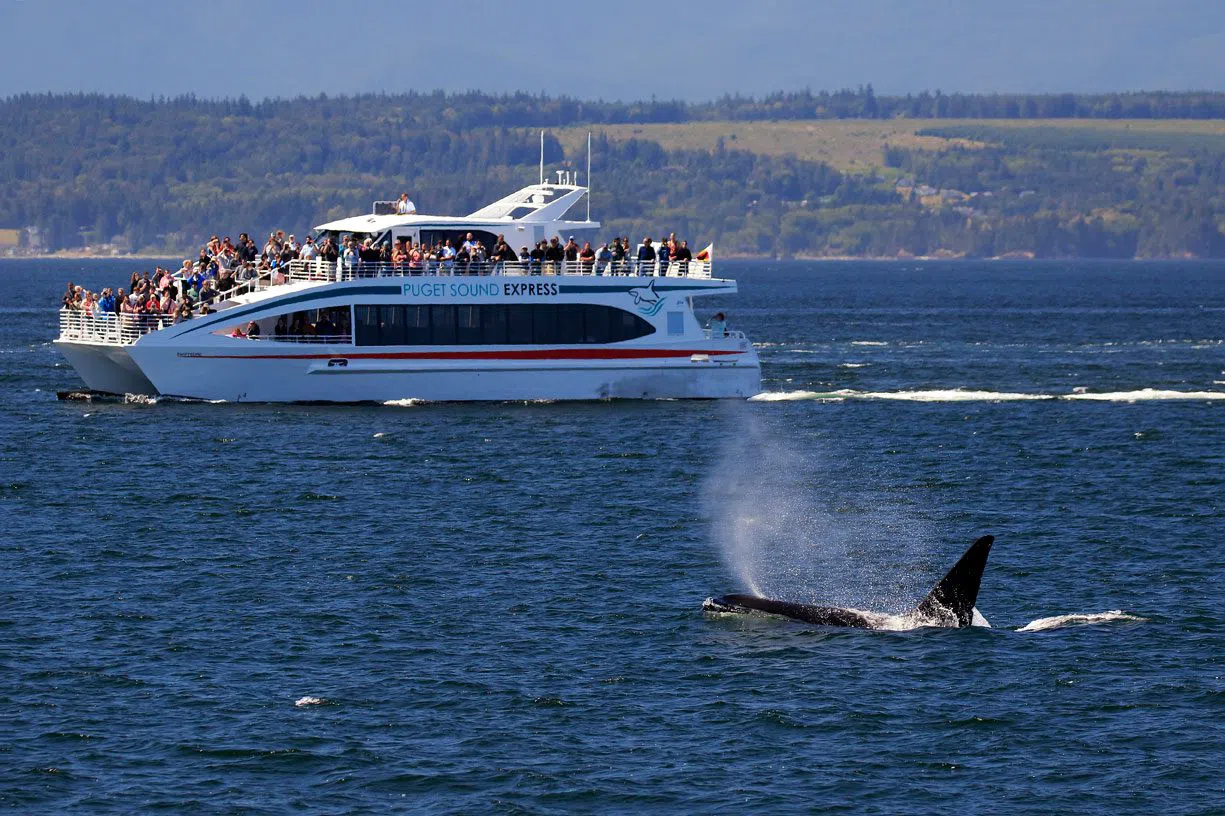 Puget Sound Express, Washington