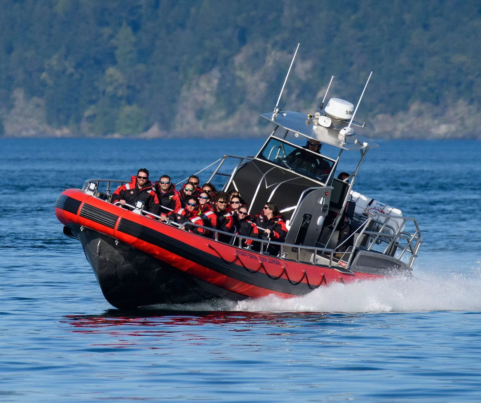 Western Prince Whale Watching, Washington